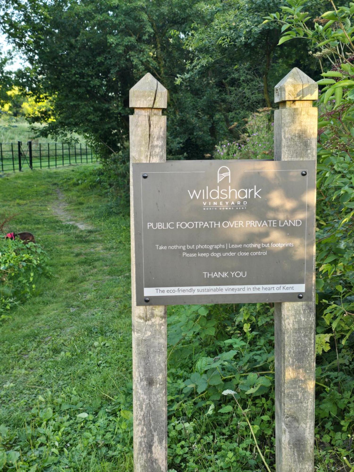 Willow Cottage In Idyllic Location Harrietsham Eksteriør billede